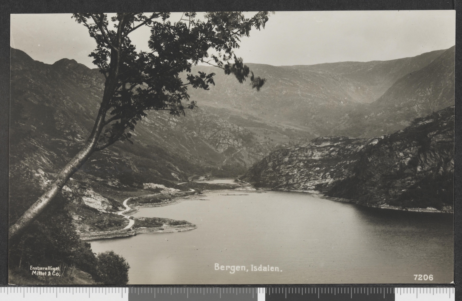 Historisk postkort med utsikt over Isdalen i Bergen mellom 1918 og 1923